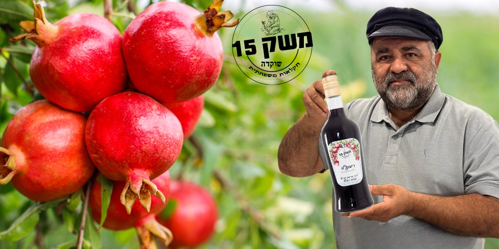 באנר משק 15