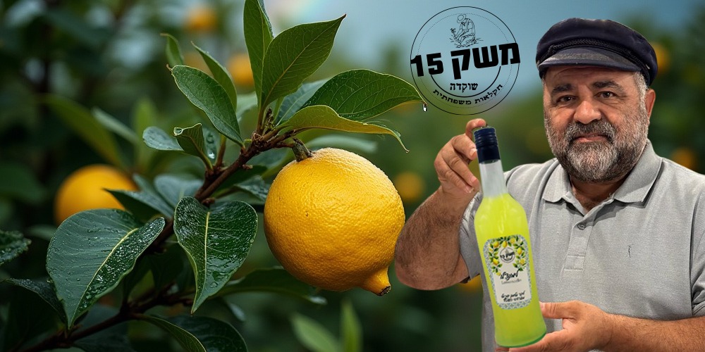 באנר משק 15