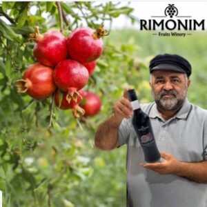 בשדות הרימונים